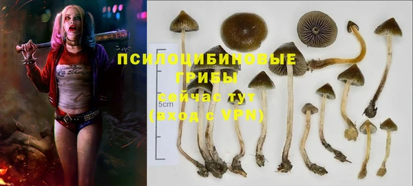 молекула духа Баксан