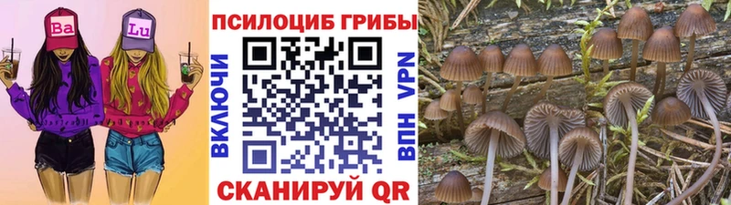 наркошоп Острогожск площадка формула Псилоцибиновые грибы Magic Shrooms