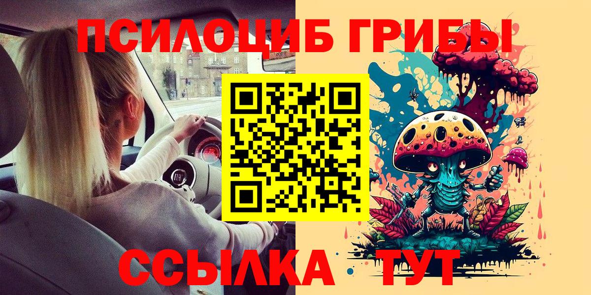 Острогожск  где купить наркоту  Вход с VPN  Галлюциногенные грибы прущие грибы 